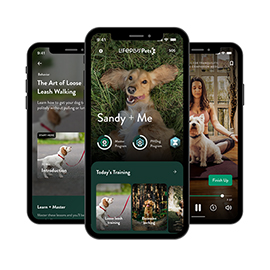 Lifeplus Pets App für Hundegesundheit und Wohlbefinden